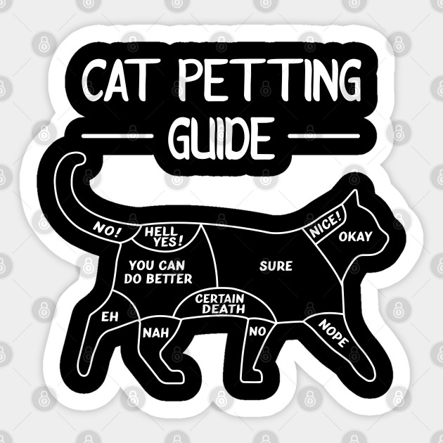cat petting guide t shirt